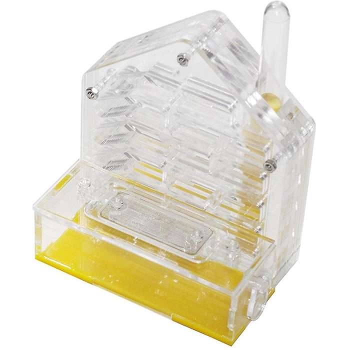 Ant Nest Ant Farm Acrylic Farm Insect Cage Display Space for Ant Feeding, Ant Feeding Farm House Ant