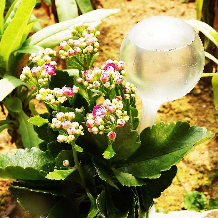 Auto Self Watering Plant Bulbs, Unbreakable Plastic Balls Indoor Plants Watering Device, Watering Gl