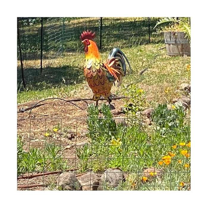 Metal Rooster , Garden Rooster Statues & Sculpture, for Yard, Garden, Lawn Backyard Decorations, Roo