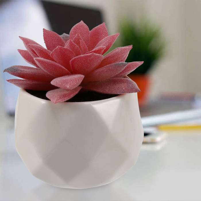 Mini Succulents Artificial Succulents Plants Artificial Mini Geometric Ceramic Plants In Pot,set Of