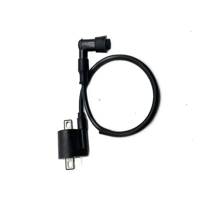 Motorcycle Ignition Coil for 50Cc 125Cc 150Cc 200Cc D8TC CG ZJ High Pressure Coil ATV Quad Dirt Pit