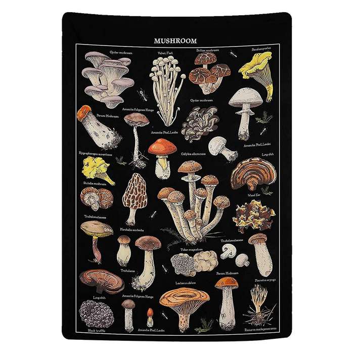 Mushroom Tapestry Vintage Black Tapestry Reference Chart Colorful Vertical Tapestry Wall Hanging 51.