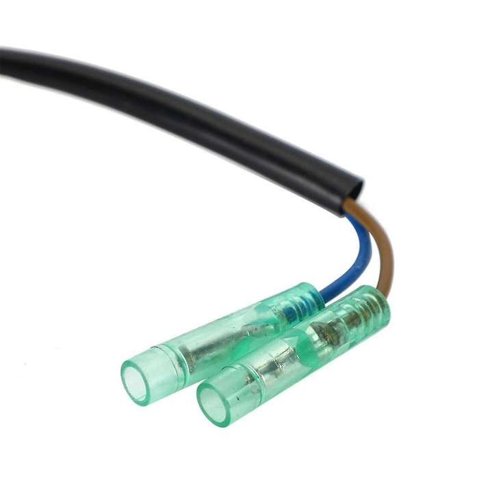 Outboard Charge Coil Assembly Fit for 9.9Hp 13.5Hp 15Hp 66M-85520-00