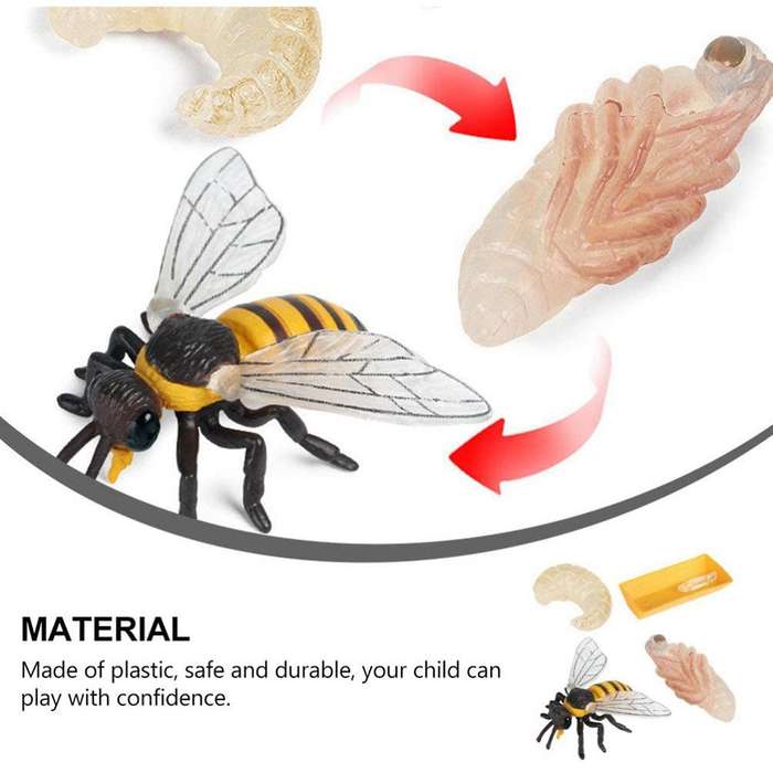 Pack Of 4 Insect Figurines Life Cycle Of Realistic Insects Figures Toys Educational Science Model T