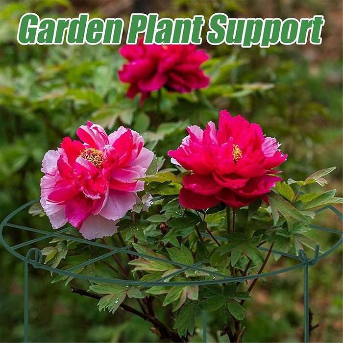 Peony Stand, Peony Support Cage, Plant Stand Growing Plant Stand Suitable for Roses, , Orchids