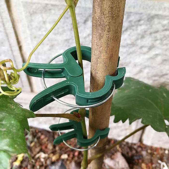 Plant Fixed Clips Reusable Garden Stem Vines Clamps Greenhouse Support Fastener Plant Climbing Wall