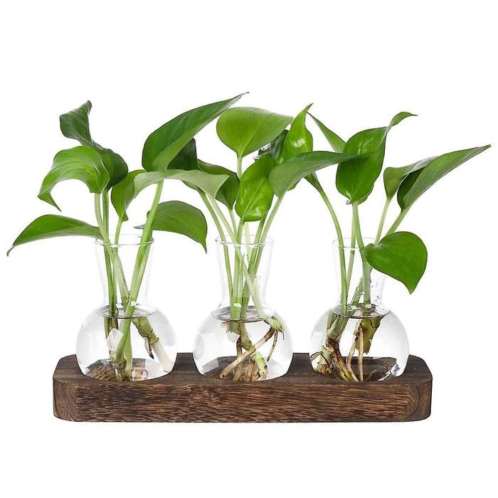 Plants Propagation Stations Glass Vase Station Retro Plant Terrarium with Wooden Tray Bulb Flower Va