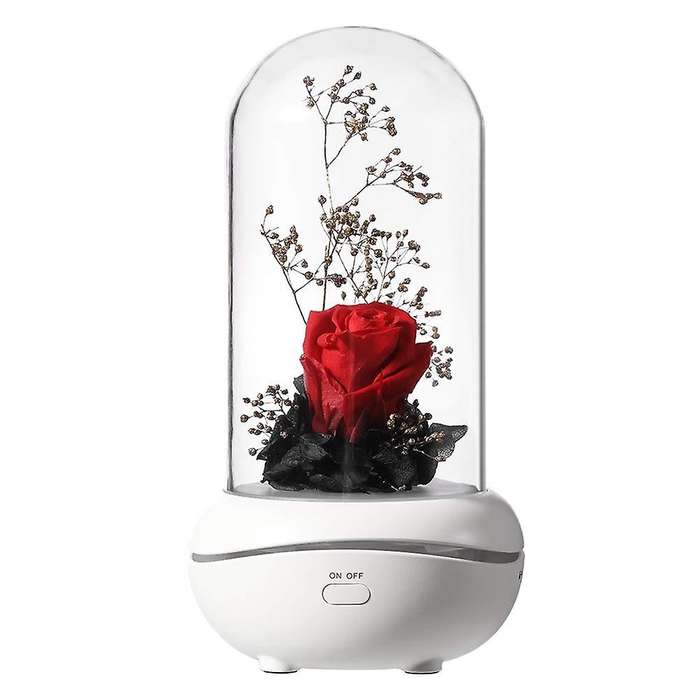 Preserved Lamp Aromatherapy Machine Oil Diffuser with 7 Colors Changing Light(red)