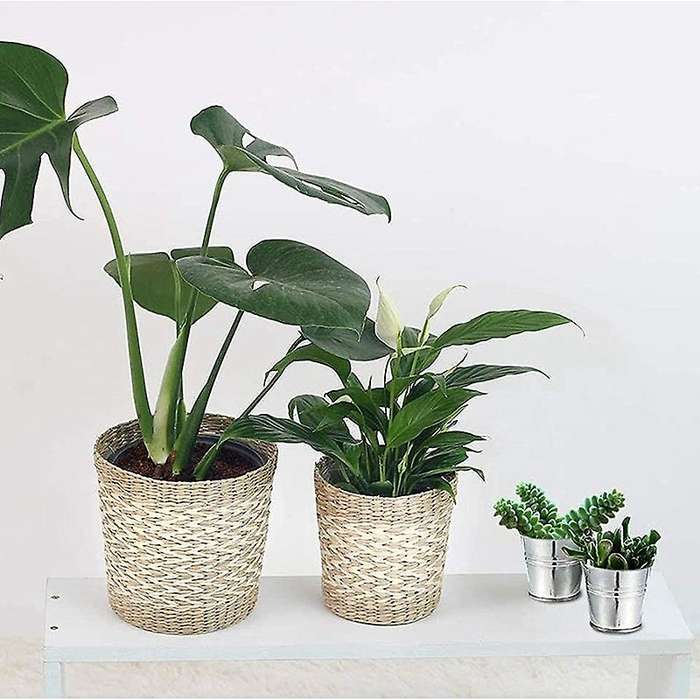 20pcs Mini Metal Bucket Portable Flower Pot Vases Planters Lovely