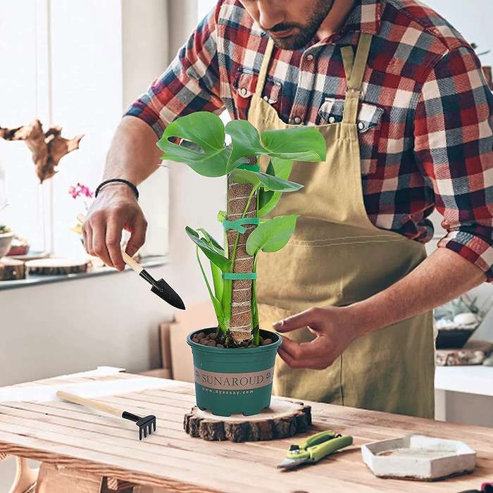 40cm Moss Rod Plant Stakes Stackable Coconut Pole