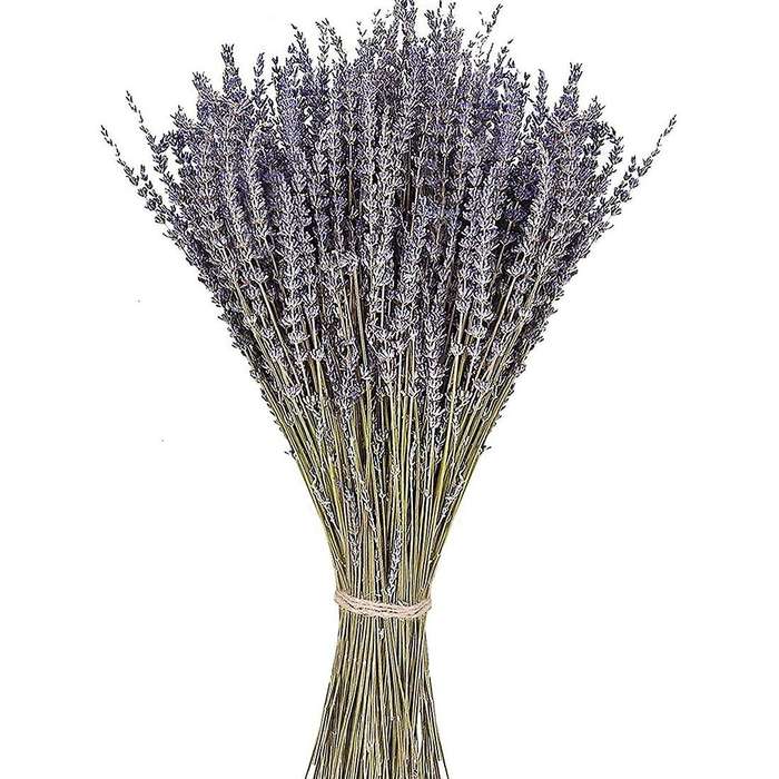 300-320 Stems Natural Dried Lavender Bunches for Home Decoration,home