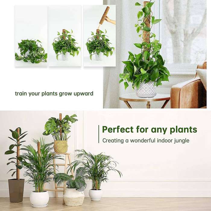 4pcs Coir Totem Pole Moss Stick for Indoor Potted Plants Support