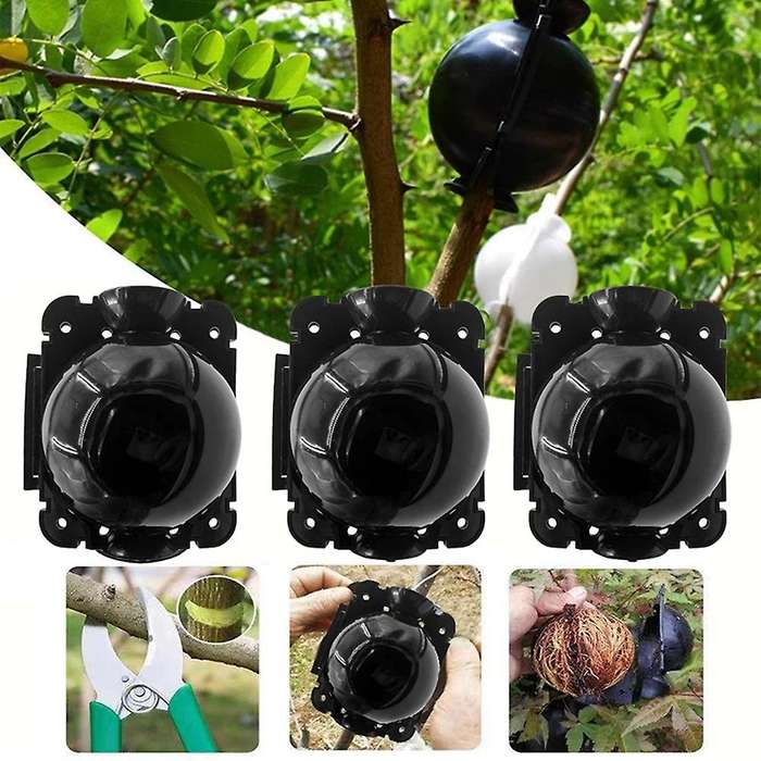 Reusable Plant Rooting Equipment Kit Cutting Grafting Rooting Box