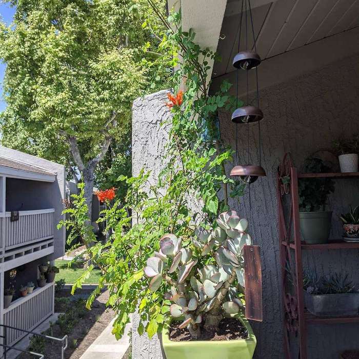 Bell Wind Chimes Temple Wind Bell with 5 Bells,feng Shui Wind Chime