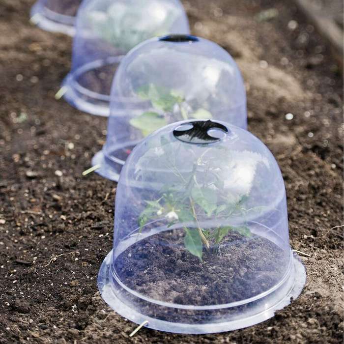 8 Pack Reusable Plastic Garden Cloche Dome Plant Covers