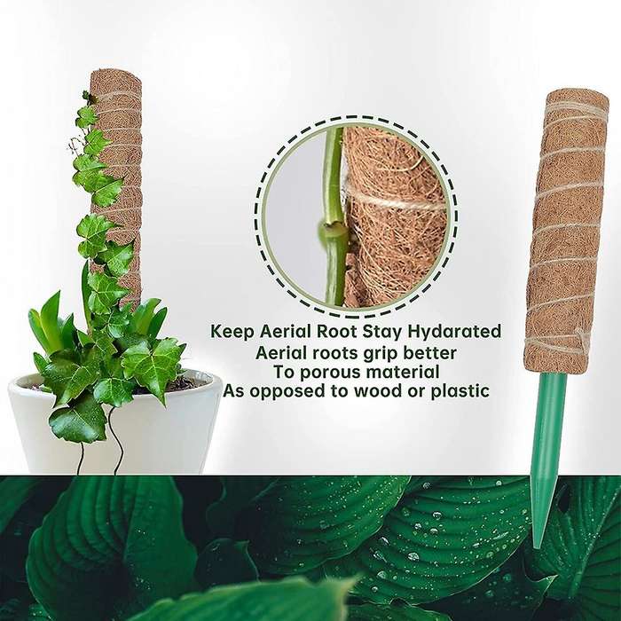 Moss Pole for Plants Monstera,moss Poles for Climbing Plants