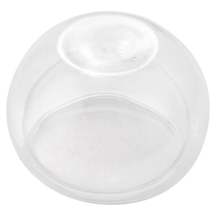 12pcs 50ml Clear Drinking Cup Heat Resistant Double Wall Layer Cup