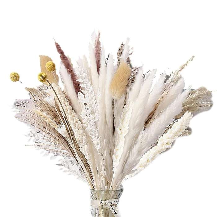 100pcs Dried Flowers 10 Kinds Pampas Grass 17.32 Inch Decor