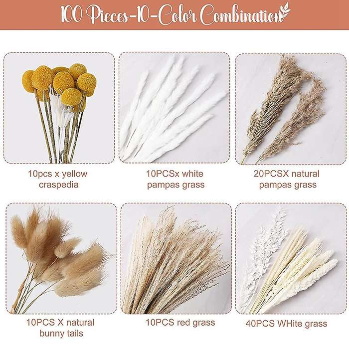 100pcs Dried Flowers 10 Kinds Pampas Grass 17.32 Inch Decor