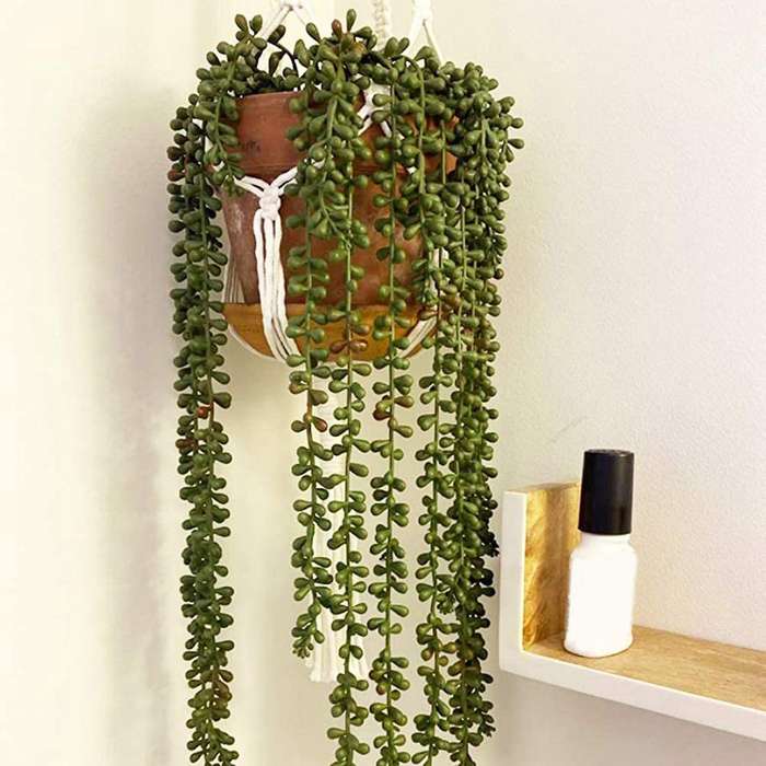 3pcs Artificial String Of Pearls Plant Faux Hanging Succulents Plants