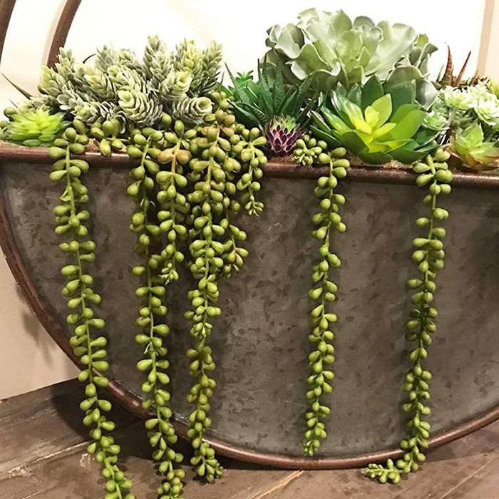 3pcs Artificial String Of Pearls Plant Faux Hanging Succulents Plants