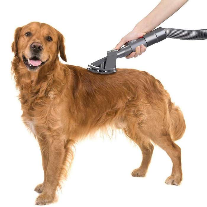 Grooming Tool and Flexible Extension Hose