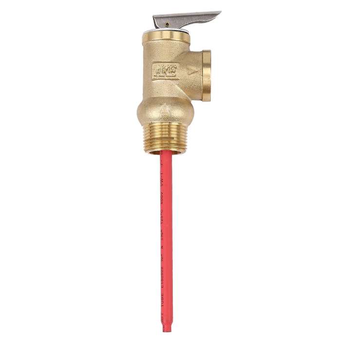 Wya-20 99c 101 Psi 210f 0.7mpa to Valve Bsp 3/4 Inch Pressure Valve