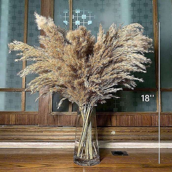 Coffee Table Decor Dried-pampas-grass Floral-50-stems Small-pompous