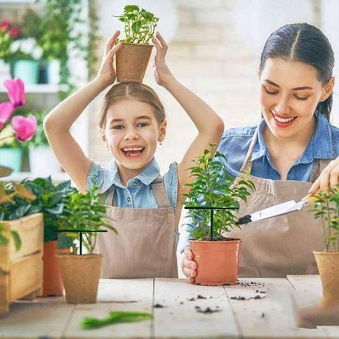 36pieces Plant Support Stake for Plant for Rose,tomato,hydrangea,etc