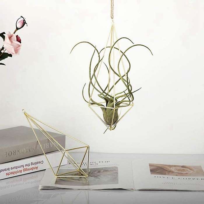 4 Packs Air Plant Hanging Holder Himmeli Decor Geometric Planter