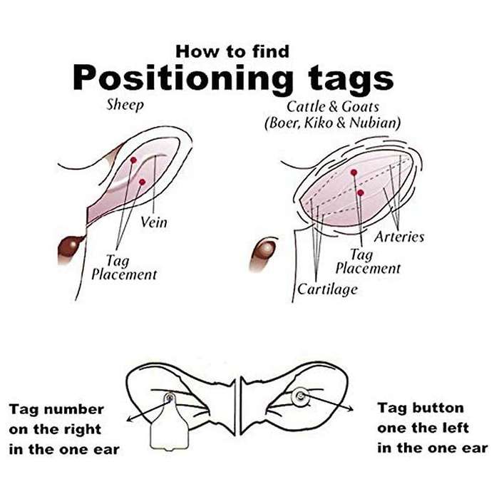 Ear Tag Pliers Ear Tag Sheep Marker Applicator 001-100 Tags-yellow