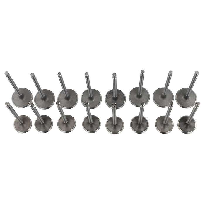 Automobile Engine Inlet Exhaust Inlet Valve Kit for Scenic Kangoo 1.4 7701471354