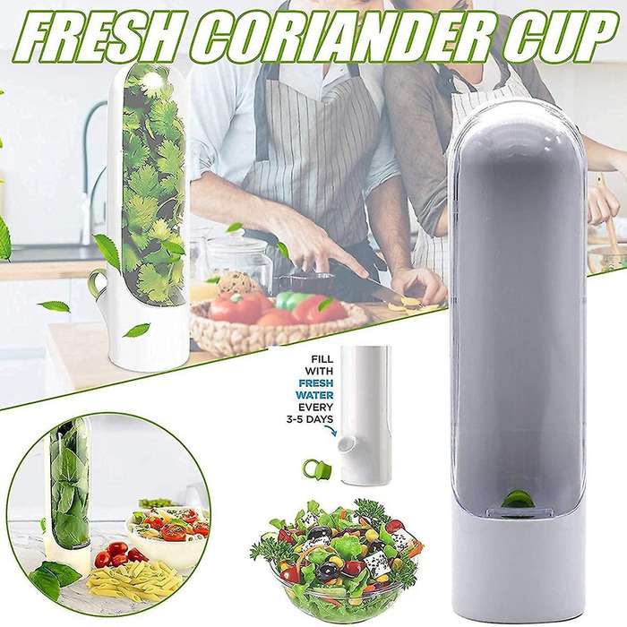 Best Preserver for Durable Refrigerator Preserver Keeps Greens 2 Times