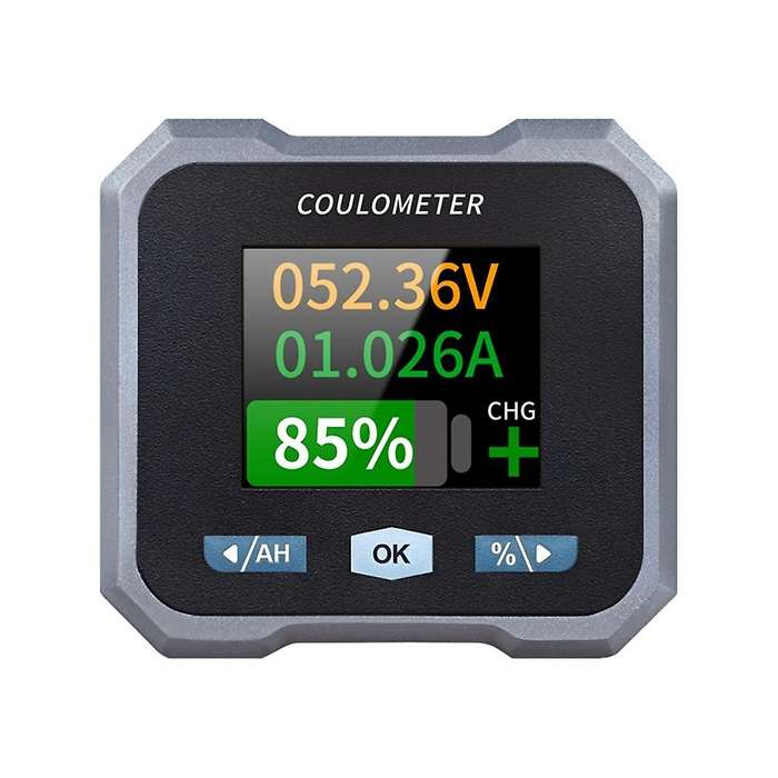 BL110F Coulometer Battery Meter DC10-100V 0-100A Waterproof Battery Meter and Voltmeter for Electri