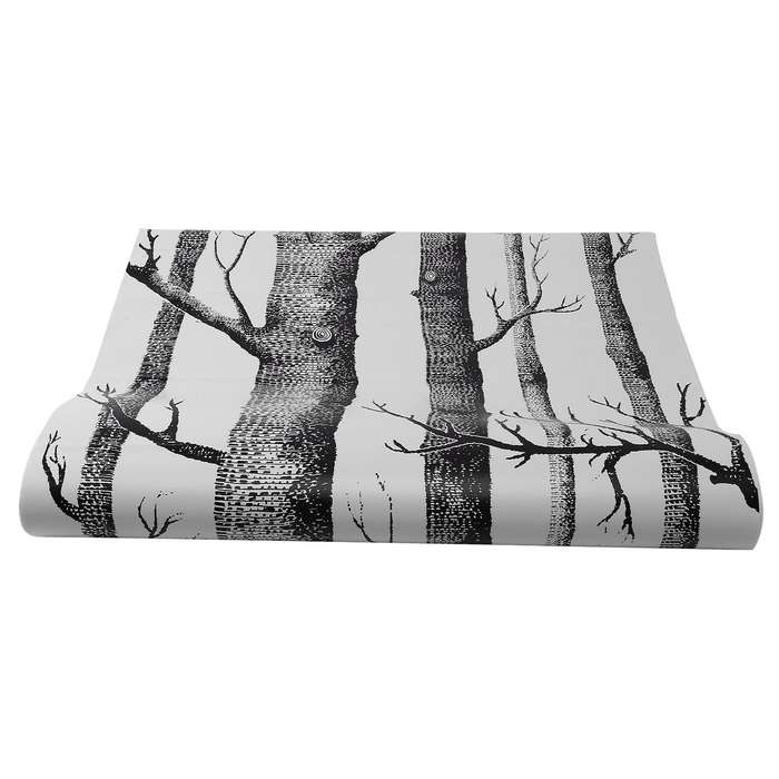 Black White Birch Tree Wallpaper Compatible Bedroom Living Room Wall Paper