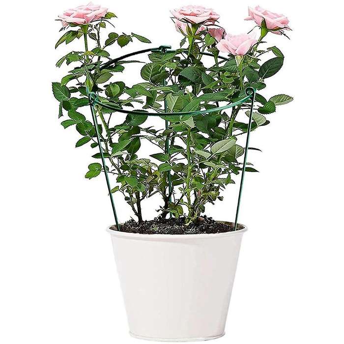 Cage Rings Garden Plant Support Brace, Pack Of 10 Plant Stakes Rings, Strong Garden Supports