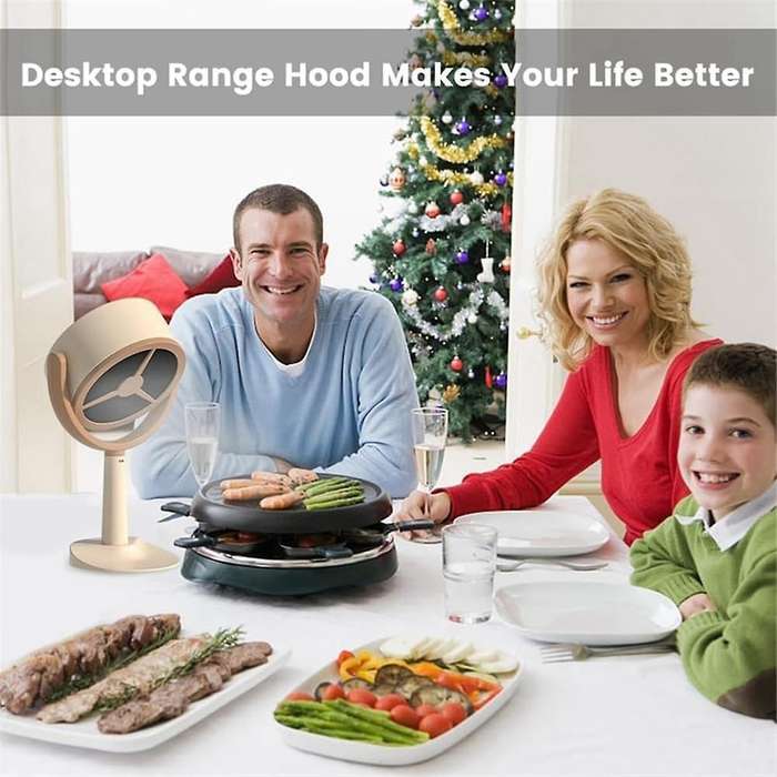 Range Hood Desktop Range Hood Small Desktop Suction Adsorption Oil Barbecue Range Hood Purifier