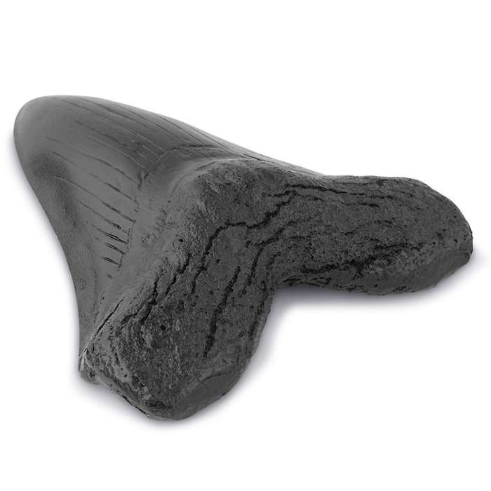 Resin Megalodon Tooth Fossil Giant Tooth Megalodon Tooth Replica,Carcharodon Megalodon Giant Tooth F