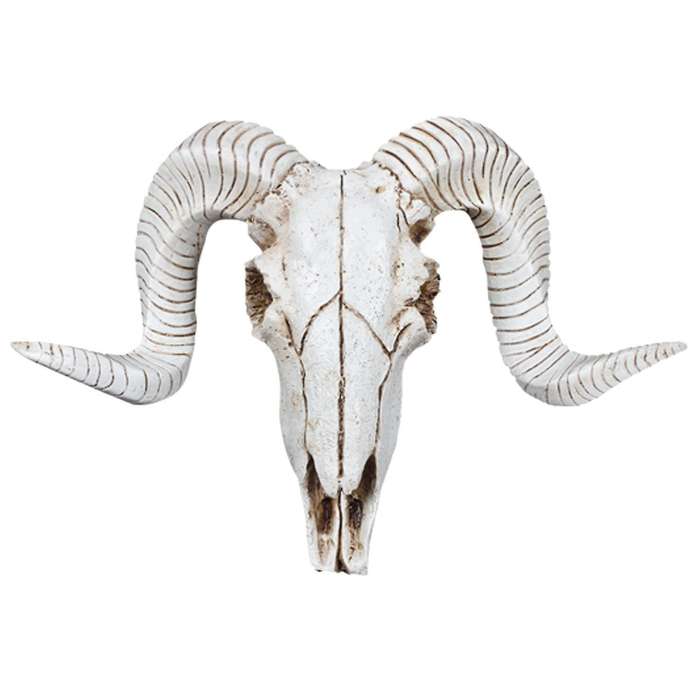 Resin Sheep Head Skull Head Wall Hanging 3D Animal Longhorn Sculpture Figurines Crafts Horns Home
