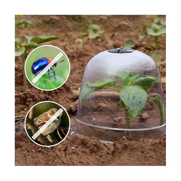 Reusable Garden Plant Cloche, Plant Dome Bell Cover Plastic Mini Greenhouse for Warming Garden Soil