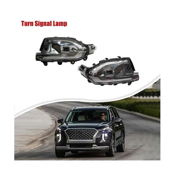 Right Car Outside Door Mirror Lamp Turn Signal Lamp for 2020-2021 87624s8000