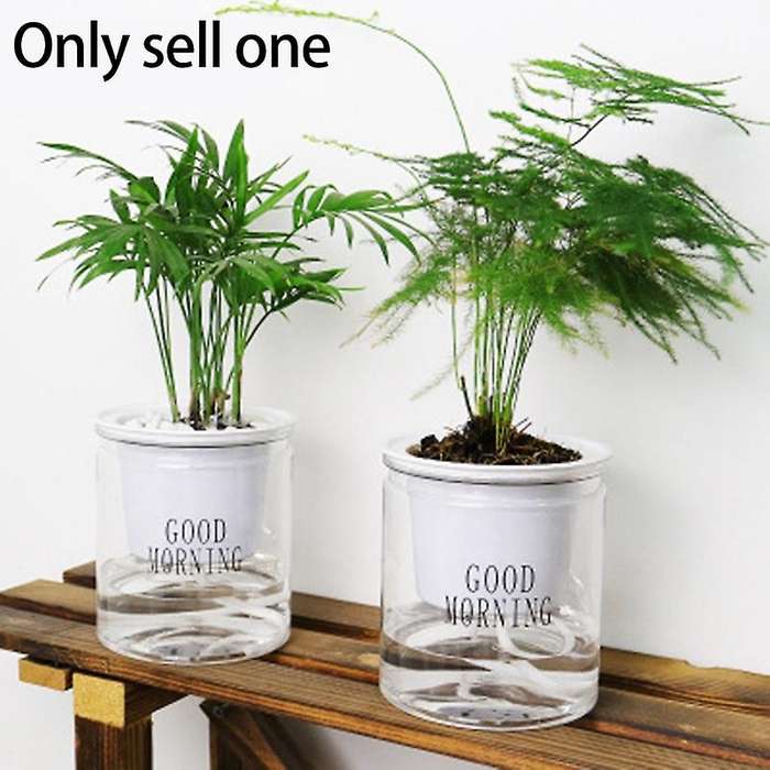 Self-watering Flowerpot Automatic Water Absorption Succulent Aquaculture Transparent Round Plastic