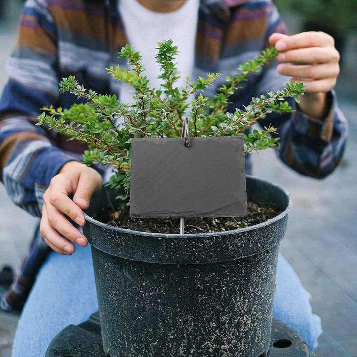 Slate Plant Labels Garden Plant Markers Herb Labels Greenhouse Accessories Garden Stakes, 15PCS
