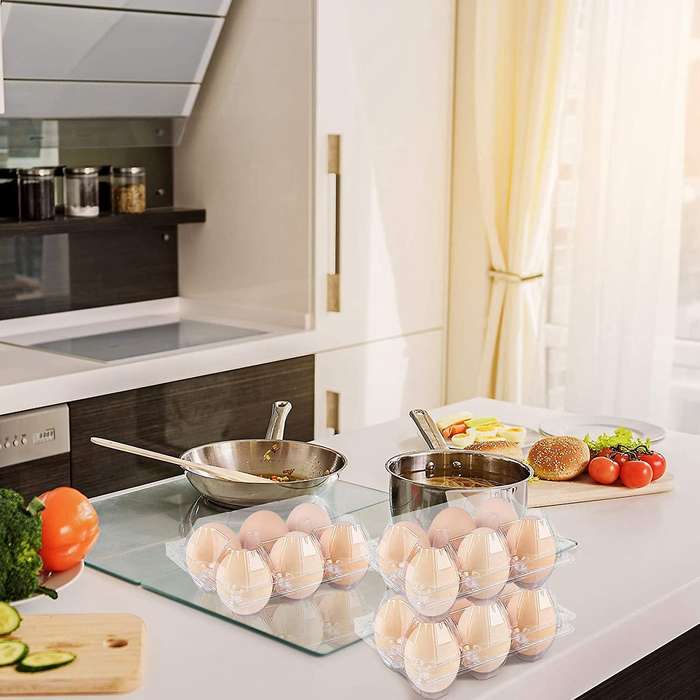 Storage Container Egg Tray Compatible Family Pasture,refrigerator Storag