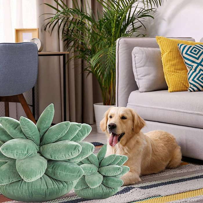 Succulent Pillow Succulents Cactus Pillow Cute Succulents for Garden Or Green Lovers Or Bedroom Roo