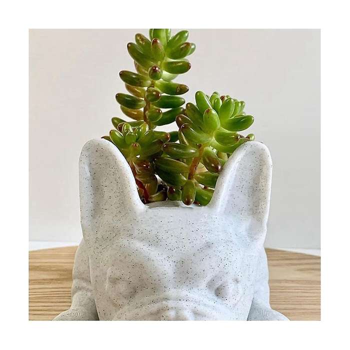 Succulent Planter,bulldog Shape Cute Bonsai Flower Pots Garden Office Desktop Decor (no Plants)