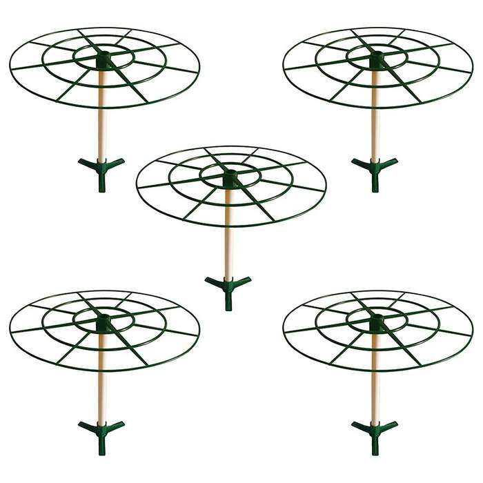 5pcs Round Plant Support Frame Vegetable Strawberry Stand Scalable