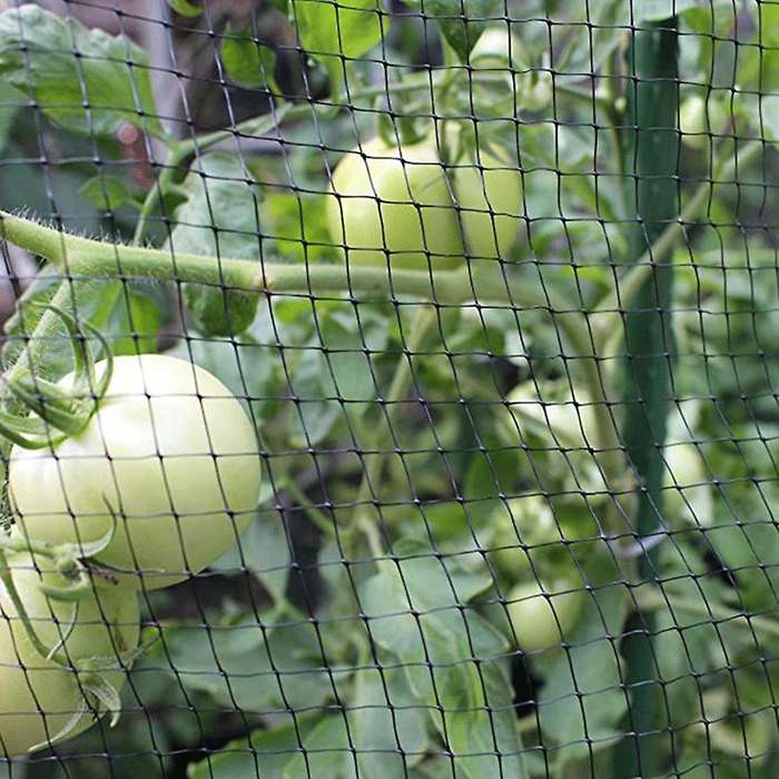 Bird Net 7x70ft Garden Netting for Bird Plants Trees Garden Net