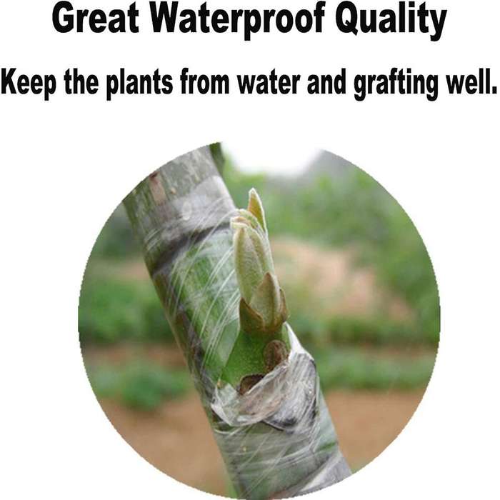 12 Roll Self-adhesive Nursery Garden Flower Vegetable Grafting Tapes