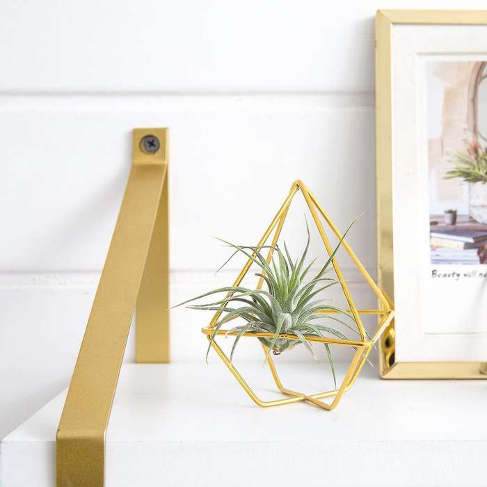 5 Packs Air Plant Holder Mini Metal Tabletop Himmeli Decor Tillandsia